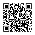 C&oacute;digo QR con el enlace al titular Presupuesto general en Villamol