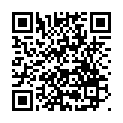 C&oacute;digo QR con el enlace al titular Casi medio centenar de agentes velarÃ¡n por la seguridad del desfile de PiÃ±ata 2018