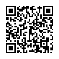C&oacute;digo QR con el enlace al titular Se derrumba el andamio de las obras de GÃ³mez NÃºÃ±ez