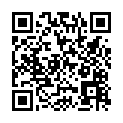 C&oacute;digo QR con el enlace al titular Al volante, precauciÃ³n