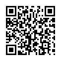 C&oacute;digo QR con el enlace al titular Preparados para una catÃ¡strofe aÃ©rea