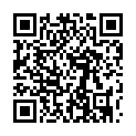 C&oacute;digo QR con el enlace al titular Los aludes vividos en las Ãºltimas horas en la zona bloquean el paso en la Ruta del Cares