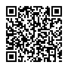 C&oacute;digo QR con el enlace al titular El Autronic de 'Joaco' encara el 2018