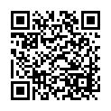 C&oacute;digo QR con el enlace al titular SantamarÃ­a ve necesaria una conexiÃ³n rÃ¡pida y segura como la LeÃ³n-Valladolid y Â«el Gobierno toma nota de elloÂ»