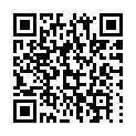 C&oacute;digo QR con el enlace al titular Detenido por robar un tramo vÃ­a en la provincia de LeÃ³n