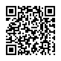 C&oacute;digo QR con el enlace al titular La compra