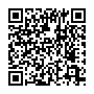 C&oacute;digo QR con el enlace al titular Asciende a once el nÃºmero de heridos graves del accidente de un autobÃºs en Lerma