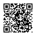 C&oacute;digo QR con el enlace al titular Midiendo el terreno con fotografÃ­as (y II)