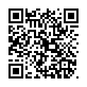 C&oacute;digo QR con el enlace al titular CiÃ±era alza la tricolor