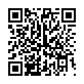 C&oacute;digo QR con el enlace al titular ConcentraciÃ³n de la izquierda leonesa