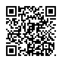 C&oacute;digo QR con el enlace al titular TrÃ¡fico pone a prueba drones este puente para vigilar 7,4 millones de viajes