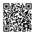 C&oacute;digo QR con el enlace al titular LeÃ³n ejecuta una Â«demanda histÃ³ricaÂ» y hace paseable la conexiÃ³n con Carbajal