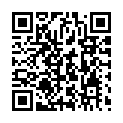 C&oacute;digo QR con el enlace al titular Herido tras salirse de la vÃ­a con un 'coche sin carnet' a la altura de Valencia de Don Juan