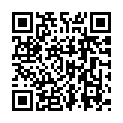C&oacute;digo QR con el enlace al titular LÃ­o monumental