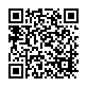 C&oacute;digo QR con el enlace al titular La oposiciÃ³n en pleno echa en cara a SilvÃ¡n la Â«tardanza y dudasÂ» con respecto a Feve