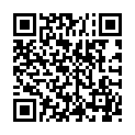 C&oacute;digo QR con el enlace al titular #PIR 238 &ndash; Â¡He descubierto un polÃ­mata!