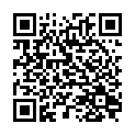 C&oacute;digo QR con el enlace al titular Fallas de libro y fallas reales