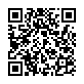 C&oacute;digo QR con el enlace al titular PENDONES DEL REINO DE LEÃ“N
