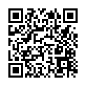 C&oacute;digo QR con el enlace al titular Un camiÃ³n de reparto se empotra de nuevo en el puente de San Marcos de la capital