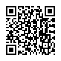 C&oacute;digo QR con el enlace al titular LeÃ³n Â¿Parque temÃ¡tico?