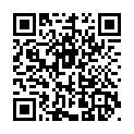 C&oacute;digo QR con el enlace al titular Alarma en Espacio VÃ­as por la presencia de una sospechosa maleta abandonada