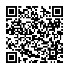 C&oacute;digo QR con el enlace al titular Un detenido y dos denuncias por tocamientos en la segunda noche de Sanfermines