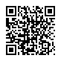 C&oacute;digo QR con el enlace al titular Golpe de chapa esta tarde en la calle Lepanto