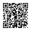 C&oacute;digo QR con el enlace al titular La PolicÃ­a investiga disparos Â«de forma indiscriminadaÂ» que han alcanzado a viandantes en LeÃ³n capital