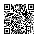 C&oacute;digo QR con el enlace al titular Fiestas de Villamol