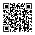 C&oacute;digo QR con el enlace al titular EspectÃ¡culo de fuegos artificiales Santa Marta 2018
