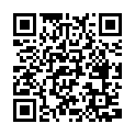 C&oacute;digo QR con el enlace al titular BeyoncÃ© y Jay-Z, a punto de ser atacados en un concierto