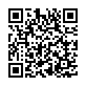 C&oacute;digo QR con el enlace al titular Un vehÃ­culo destroza una farola y una puerta