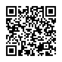 C&oacute;digo QR con el enlace al titular SilvÃ¡n: Â«No tenemos noticias sobre Feve, pero yo estoy cumpliendo en lo que respecta a la ciudadÂ»
