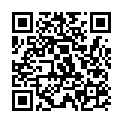 C&oacute;digo QR con el enlace al titular CASTILLO DE SANTA CRUZ (NAVAGALLEGA)