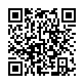 C&oacute;digo QR con el enlace al titular PeregrinaciÃ³n a la Virgen del Camino