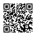 C&oacute;digo QR con el enlace al titular VisiÃ³n de gran angular