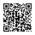 C&oacute;digo QR con el enlace al titular Roba un taxi y se estrella donde el castillo