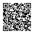 C&oacute;digo QR con el enlace al titular Boombox Cartel by El Diablo