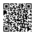 C&oacute;digo QR con el enlace al titular Arie del sur