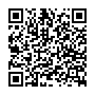 C&oacute;digo QR con el enlace al titular Tres jÃ³venes y un menor, presuntos autores de los disparos con balines que alcanzaron a 16 personas
