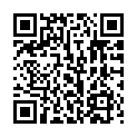 C&oacute;digo QR con el enlace al titular The Pocket Rocket