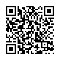 C&oacute;digo QR con el enlace al titular Detenido por intentar volar un ayuntamiento