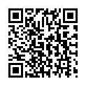 C&oacute;digo QR con el enlace al titular Activan la fase de alerta por nevadas en la provincia de LeÃ³n
