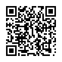 C&oacute;digo QR con el enlace al titular La salida de vÃ­a de un vehÃ­culo en la LE-11 se salda con un herido en la noche del sÃ¡bado