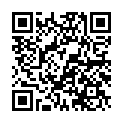C&oacute;digo QR con el enlace al titular Minibalonmano