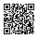 C&oacute;digo QR con el enlace al titular H2020_Insurance – Reunión bianual