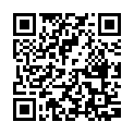 C&oacute;digo QR con el enlace al titular Detienen en la Plaza Mayor de Salamanca a un conductor ebrio y con una motosierra en el automÃ³vil