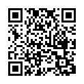 C&oacute;digo QR con el enlace al titular NSR LeÃ³n: la mÃ¡s moderna industria de acero sobre una superficie de 50 campos de fÃºtbol
