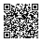 C&oacute;digo QR con el enlace al titular Parten hacia la EstaciÃ³n Espacial tres nuevos astronautas tras el lanzamiento fallido en octubre