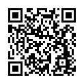 C&oacute;digo QR con el enlace al titular Detienen al conductor de un vehÃ­culo elÃ©ctrico que circulaba a 216 km/h en Santas Martas